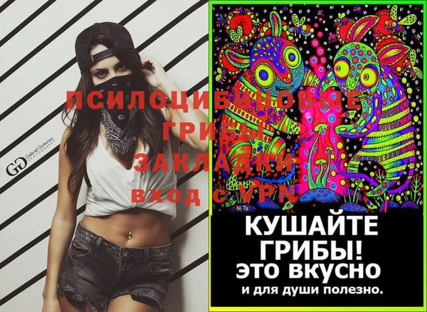 дживик Богородск