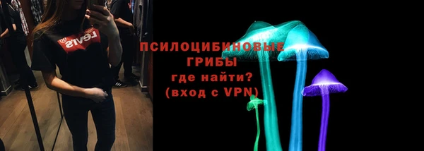 спайс Богородицк