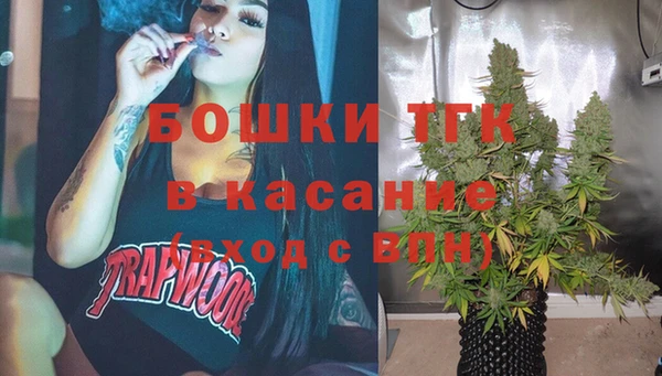 дживик Богородск