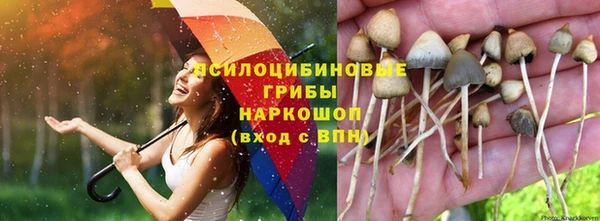 бутират Богданович