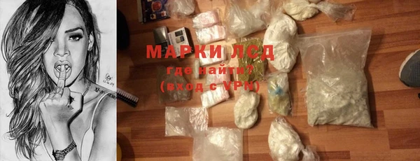 дживик Богородск