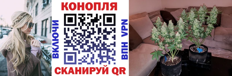 Бошки марихуана марихуана Морозовск